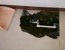 达川卫生间测漏水多少钱